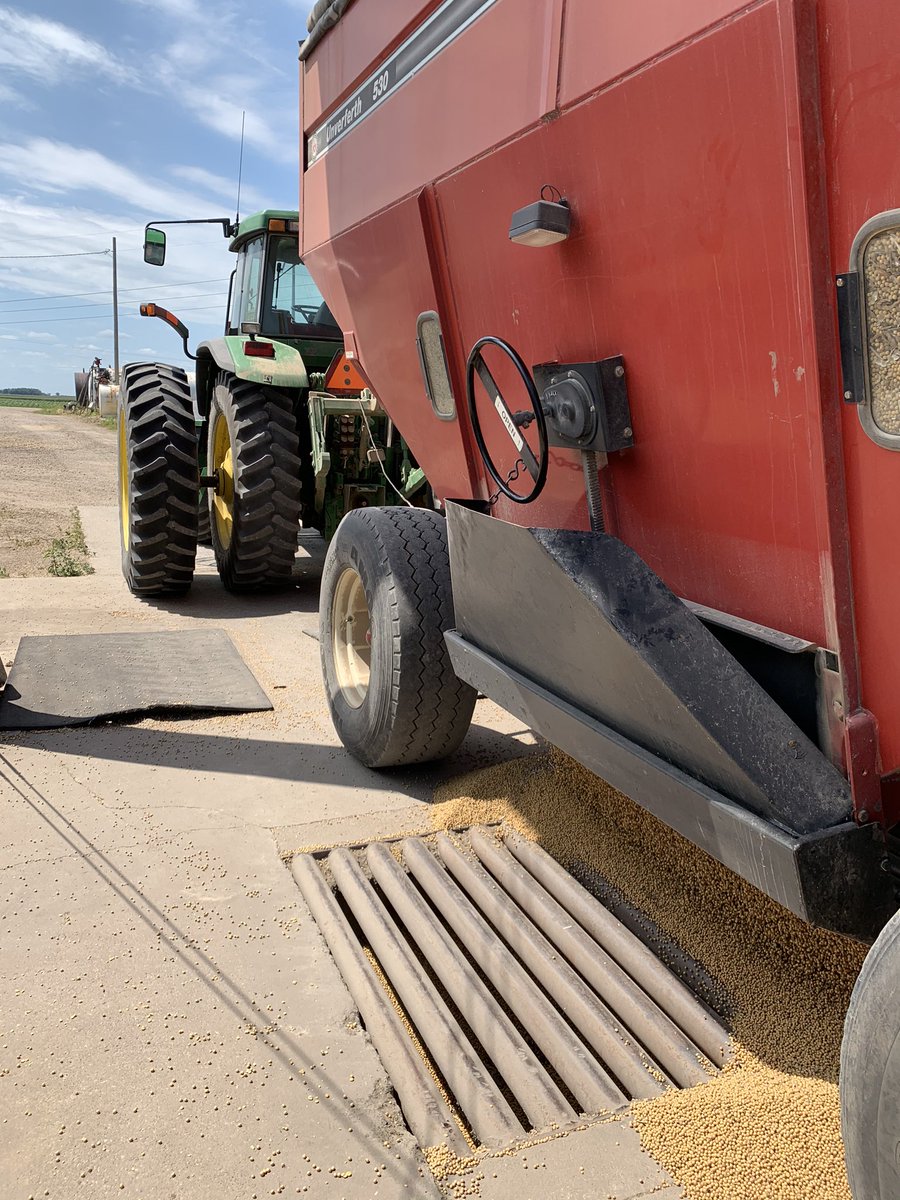 Bry_Davis_'s tweet photo. Hauling soybeans from the home site. https://t.co/RAZquFc13w