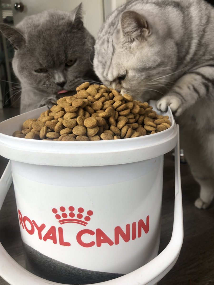 beck eleven tweet media