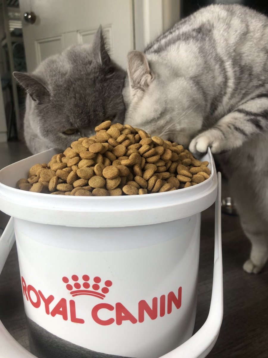 beck eleven tweet media