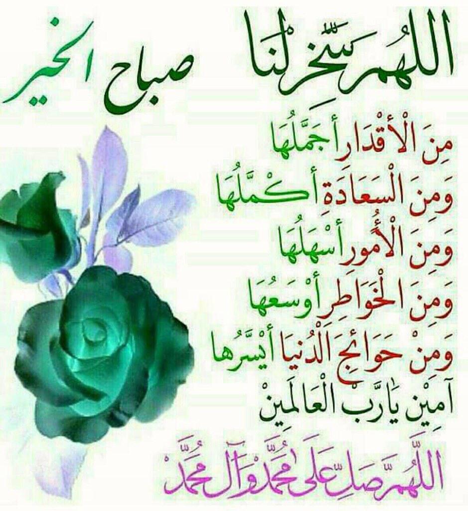 Ahmed Ewies (@ewiesahmed) on Twitter photo 