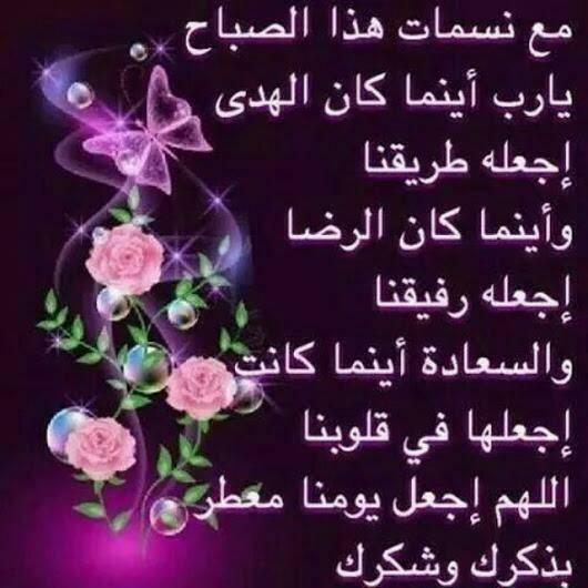 Ahmed Ewies (@ewiesahmed) on Twitter photo 