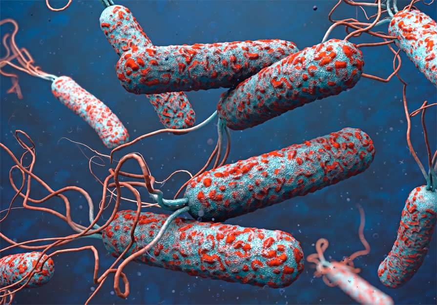 On 18 July 1834, María Manuela and her daughters left Madrid for Paris, fleeing a cholera outbreak and the dangers of the First Carlist War. The previous day, Eugenia had witnessed a riot and murder in the square outside their residence, Casa Ariza.