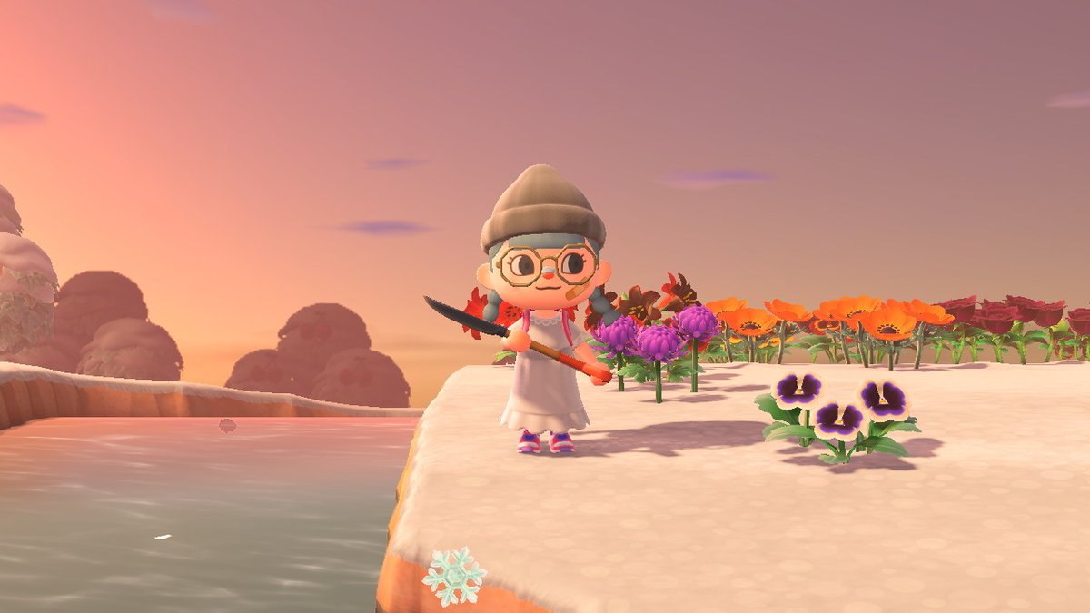 chabylu04's tweet photo. #AnimalCrossing #ACNH #NintendoSwitch https://t.co/oYxq7UMKuC