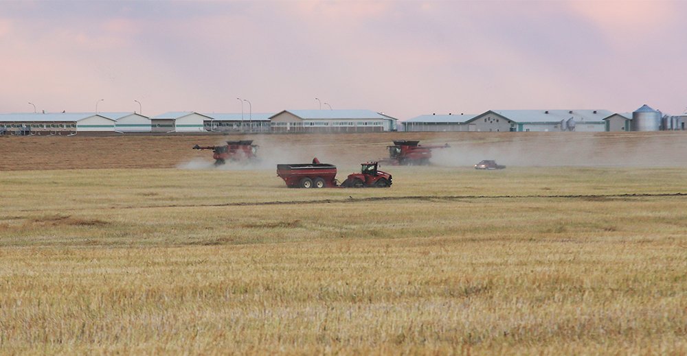 The Western Producer tweet media