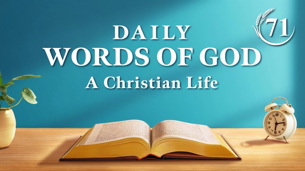 churchAlmighty's tweet photo. Do you feel terrified and at a loss over what's happening? Finding God will help. These words will show you how to seek God's appearance and help you live in God's light.
#blessed #Christian #GodsWord #truth #WorshipGod #Jesus #mercy #judgment
🔗https://t.co/tf8Q8cVLms https://t.co/zdBENFKDgO