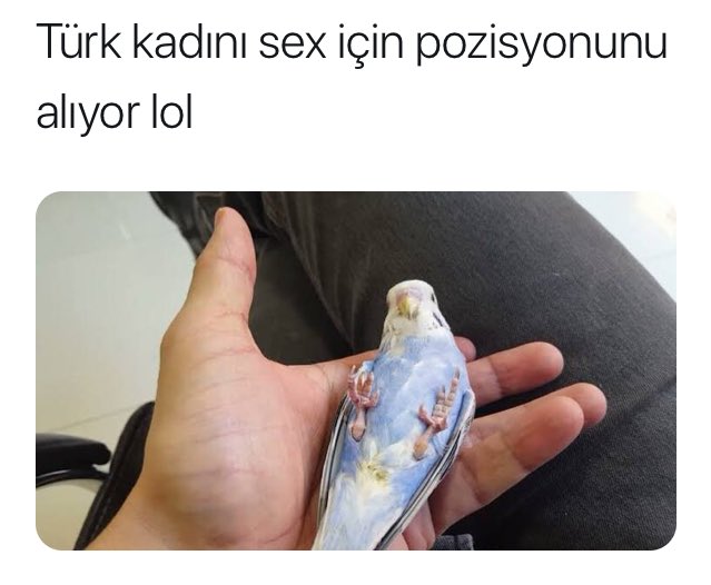 Aslınız on X Eli de Türk erkeği için sex pozisyonu almış bu  
