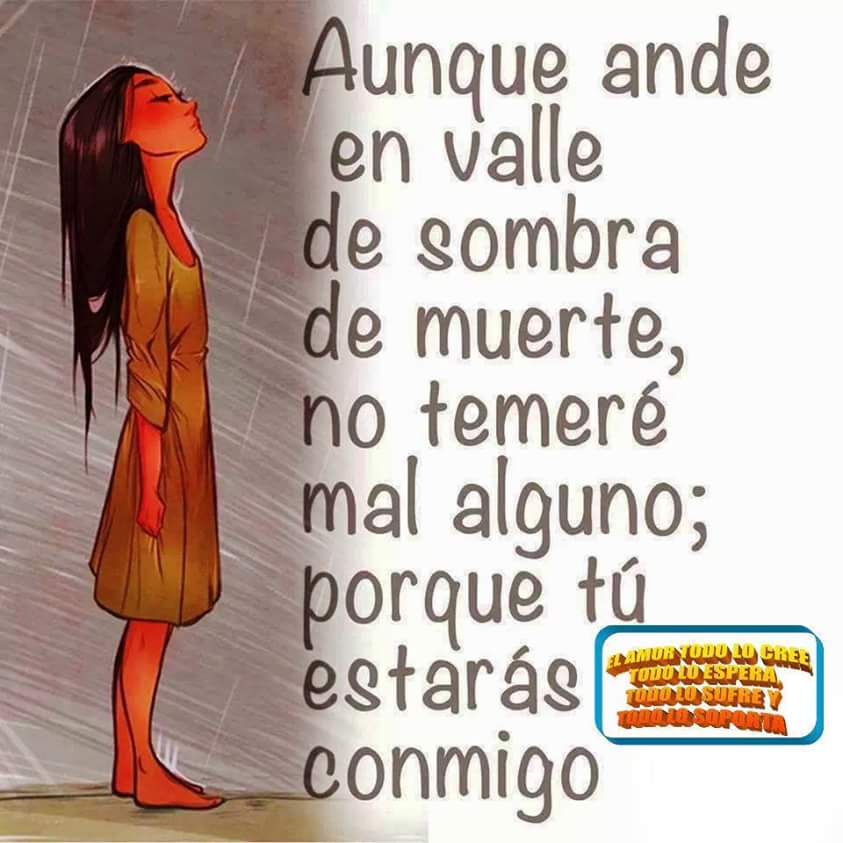 lusamara lusamara tweet media