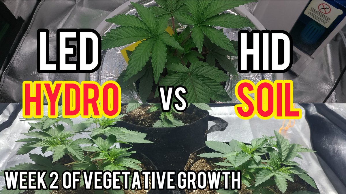 Week 2: Hydro Vs Soil ⬇️
youtu.be/eQ6yG1OhUag