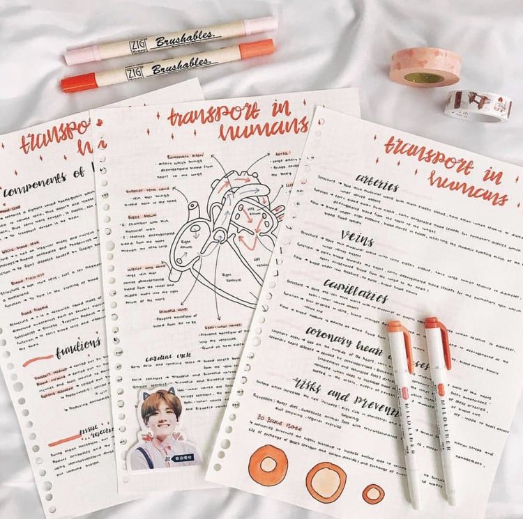 ✨PORADY DLA STUDENTÓW - a thread✨

Do października jeszcze czas ale rekrutacja na studia już trwa. Przeżyłam pierwszy rok studiów i wiecie co? Ten thread jest i dla pierwszaków w szczególności i nie tylko. Prosiliście więc enjoy!

#matura2020 #matura2021 #studia2020 #studia2021
