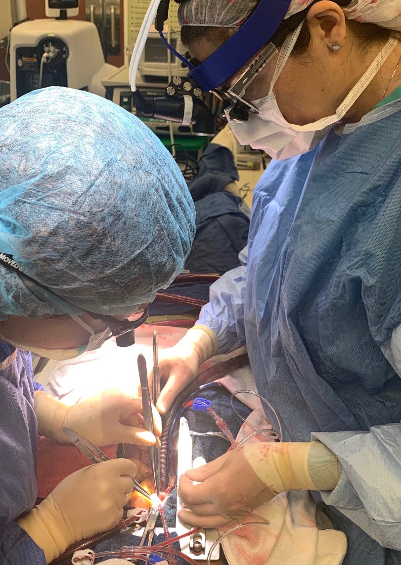 Jefferson Einstein Montgomery Vascular Surgery tweet media