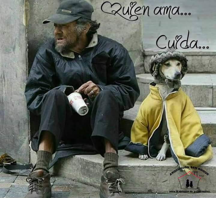 lusamara lusamara tweet media