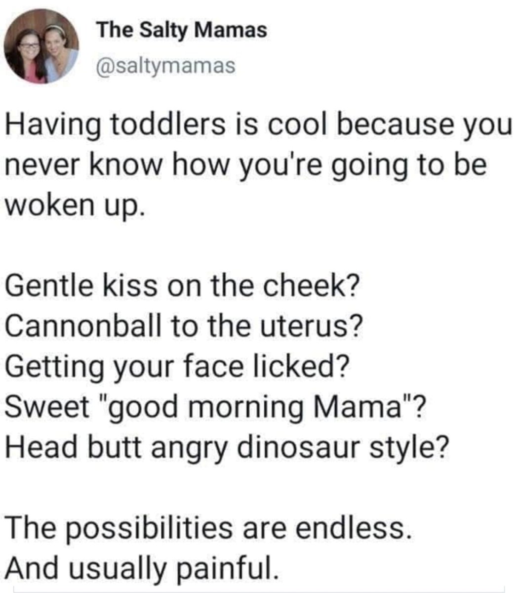 BekahPBeyer's tweet photo. This is spot on! 🤣 #toddlermama https://t.co/H0af5W1jU2