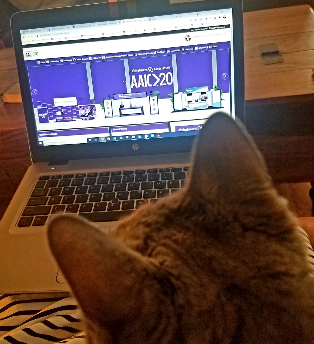 PickALZ's tweet photo. She never stops working! Research never stops. Apparently so many things to explore at #AAIC20! #ENDALZ https://t.co/oZaL8VmHsb