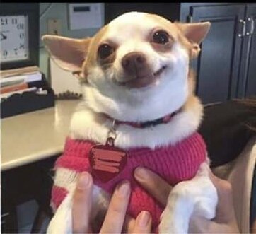 SecretTipsterMX's tweet photo. Yo viendo a los Astros

En la tercerea alta / En la tercera baja https://t.co/0Jnt4MfzEU