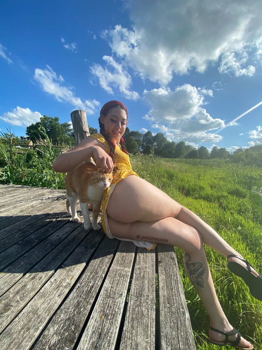 Content from sweet.shroom