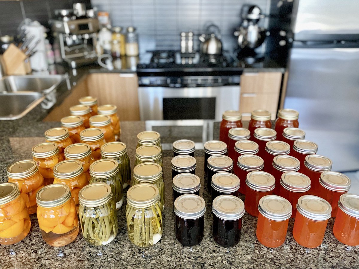 br_webb's tweet image. This weekend I had a can-do attitude! 
- 15 jars apricot jelly 
- 8 jars huckleberry jelly 
- 7 jars dilled beans 
- 6 jars apricots 
- 7 jars apricots with rum 
#canvolution #harvestseason #domesticdiva #candoattitude #preserves #canning #covidsummer