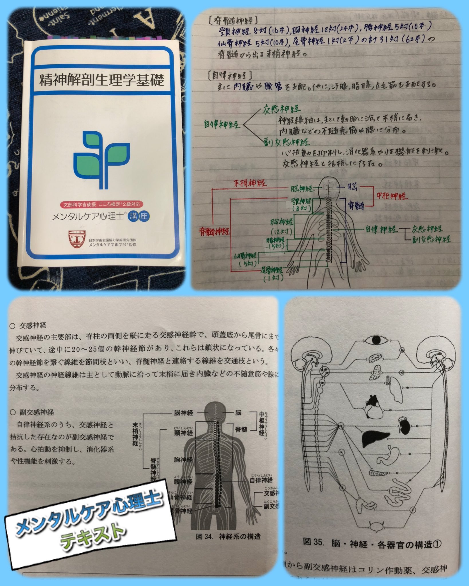 住本 小夜子 メンタルケア心理士 骨と病気の連関性 身体の不調 もしかして 骨の歪みが原因かも T Co Uydctqqqtu くろせ接骨院 東広島 東広島市黒瀬町 メンタルケア心理士 精神解剖生理学基礎 背骨の歪み 自律神経 カイロ