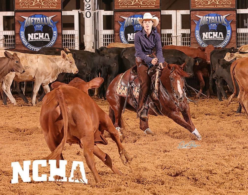 PHorseCentral's tweet photo. After the #NCHA #MetallicCat Summer Spectacular 4-Year-Old Non-Pro 1st Go came to an end, it was still Ali Good and Angel N Disguise 016 who were on top with their 221! It takes a 214 to advance to the 2nd Go. Thanks to #CircleYRanch for the update! https://t.co/axckevcpsx
