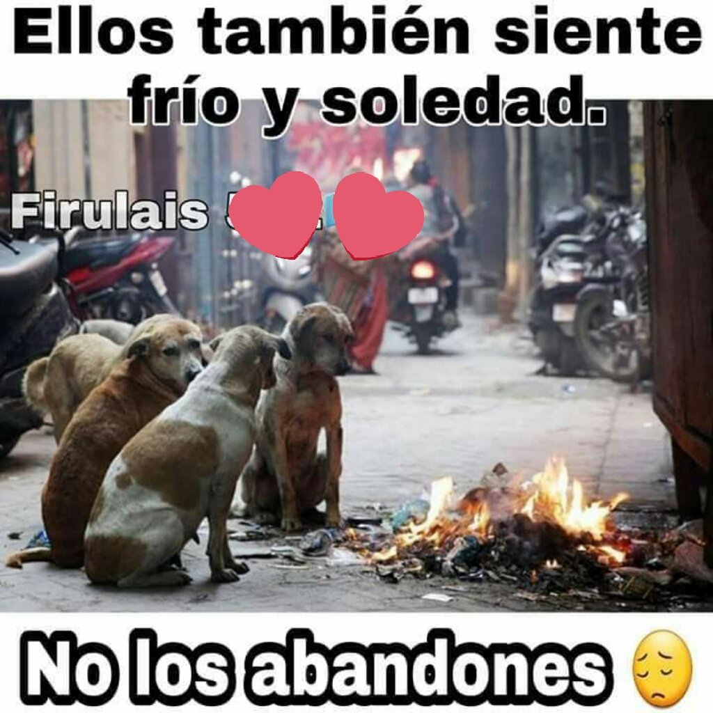 ~🌸 Karina 🌸-📖📚🎒💪🎶🎧👒👗💞 tweet media