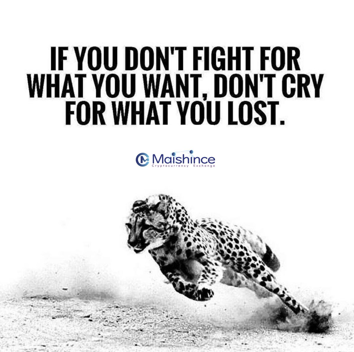 Obstacles are placed in our way to see of what we want is really worth fighting for
.
#inspirational #motivational #inspirationalquotes #inspiring #quotes #life #lifequotes #motivate #inspirationallifequotes #blockchain #cryptocurrency #positive #positivequotes