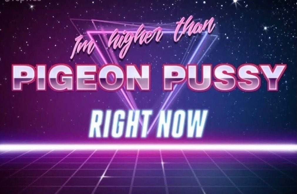 _DigitalPigeon's tweet photo. https://t.co/mGbbJ23S7s