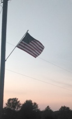 Timmy_Tea's tweet photo. #FlagsOutForAmerica 
#FlagsOut https://t.co/knDxpwN8p6