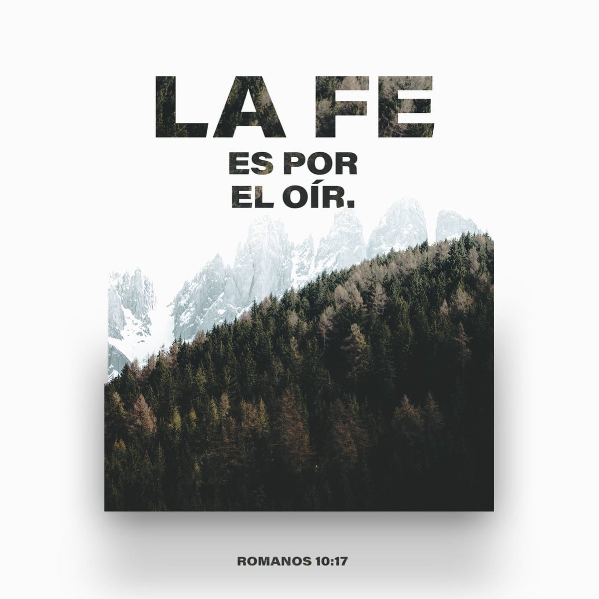 Bibliavoz tweet picture