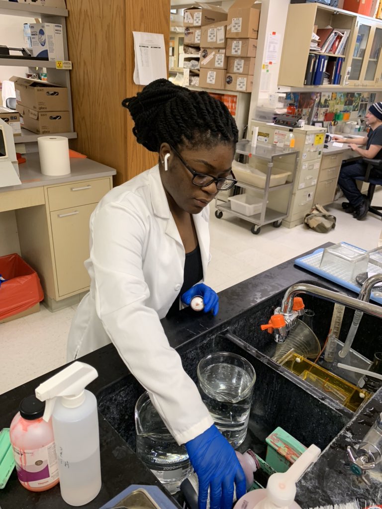 Hey everyone! My name is Lindsay Ejoh, and I’m an incoming neuro PhD student at UPenn @PennNGG. I’m interested in pain neurobiology, the enteric nervous system, & gut-brain axis. So excited to be a part of this #BlackInNeuroRollCall & #BlackInNeuroWeek!!