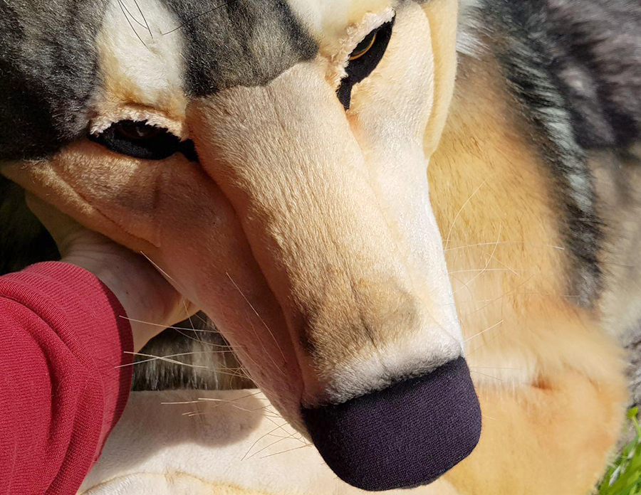 yellow_fr3ak's tweet photo. More photos: https://t.co/dpy1jlad2Q
Video: https://t.co/819OOPqwvs https://t.co/OijoUFz7Oo