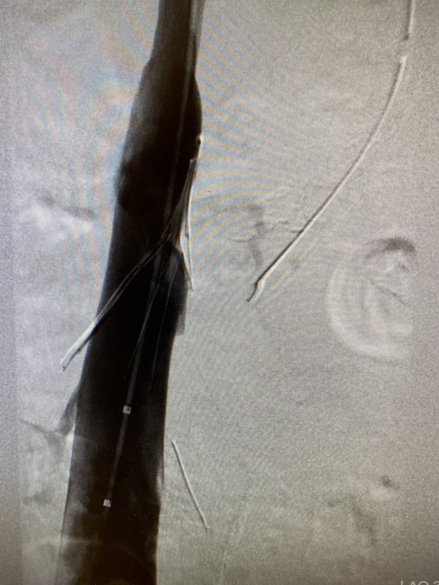 Kush Desai tweet media