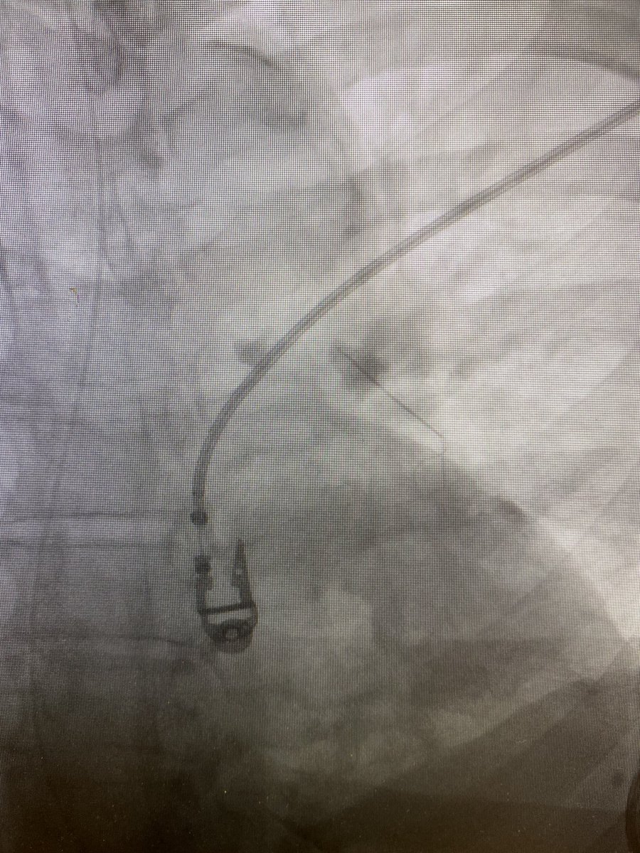 Kush Desai tweet media