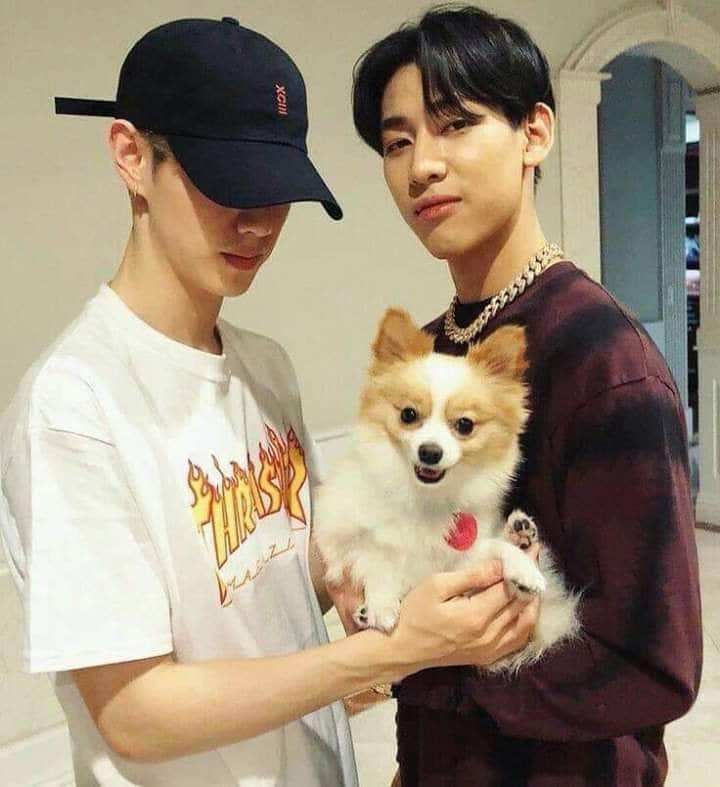 Kipkay13's tweet photo. หยุดยาว4วัน...งั้นหยุดที่น้องแล้วกันพี่จะได้มีกันต์ตลอดไป...ง้อววว😌😌
@GOT7Official 🐰🐍...
#MarkBa 🐰🐍...
#GOT7 🐰🐍... https://t.co/QGgeOSSr9v
