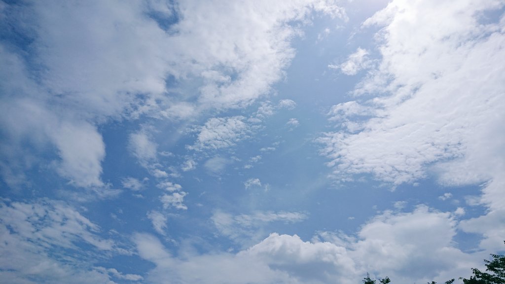 yurie_mon's tweet photo. おはようございます☀
#イマソラ です。
今日は朝から晴れました~ ٩(๑❛ᴗ❛๑)۶
(天気予報では、曇り一時雨なのですが…💦💦)
#キリトリセカイ #空が好き #空がある風景 #ファインダー越しの私の世界 #雲 #空 #photography #sky #clouds #skyphotography #cloudspic https://t.co/F9I89nXZ3r