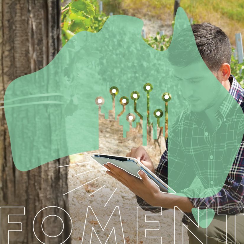 TheHydraCo's tweet photo. Applications are now open for the FOMENT Accelerator Program. If you are, or you know someone else who is, a founder of a company based in wine and/or tourism tech - apply now and join the revolution.
Find out more and apply here:
https://t.co/VkIDtmPdY0 https://t.co/ke8qCtIp6i