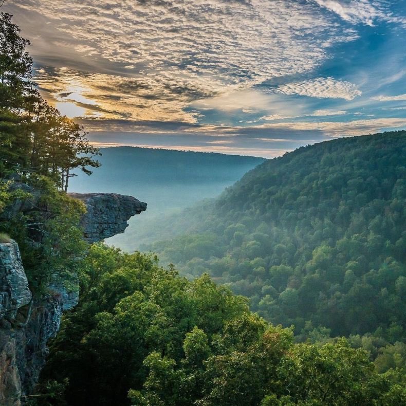 tracethetrail's tweet photo. Hawksbill Crag / Whitaker Point Trail / Kingston, AR, USA

Photo Credit: Michael Thomas

Photo Coordinates: 35.8910033,-93.4409333

Getting There: https://t.co/4ctRByQPcv

#hawksbillcrag #arkansas #whitakerpoint #mountains #sunrise #earth #earthporn #rock #priderock #hike #trail https://t.co/8lJBZ0YZMD