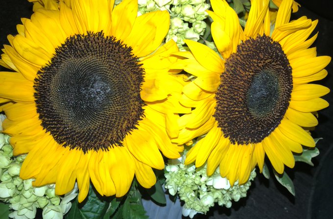 Watch Alina Ali ♡'s leaked NSFW photo on TwXstars