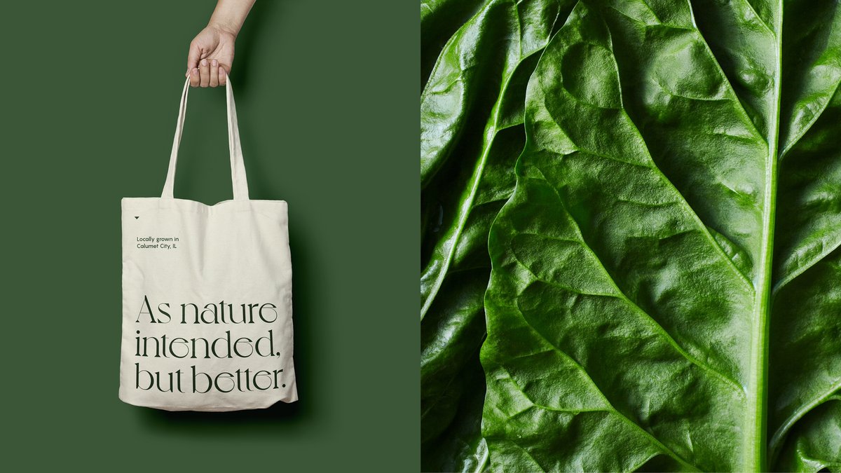 davidsieren's tweet image. Welcome to @wilder_fields, a tech-enabled food company transforming 135K sq ft of abandoned retail space into 24 acres of productive farmland just south of Chicago. Branding courtesy of @onedesignco. onedesigncompany.com/news/welcome-t… #branding #sustainablefood #verticalfarming #innovation