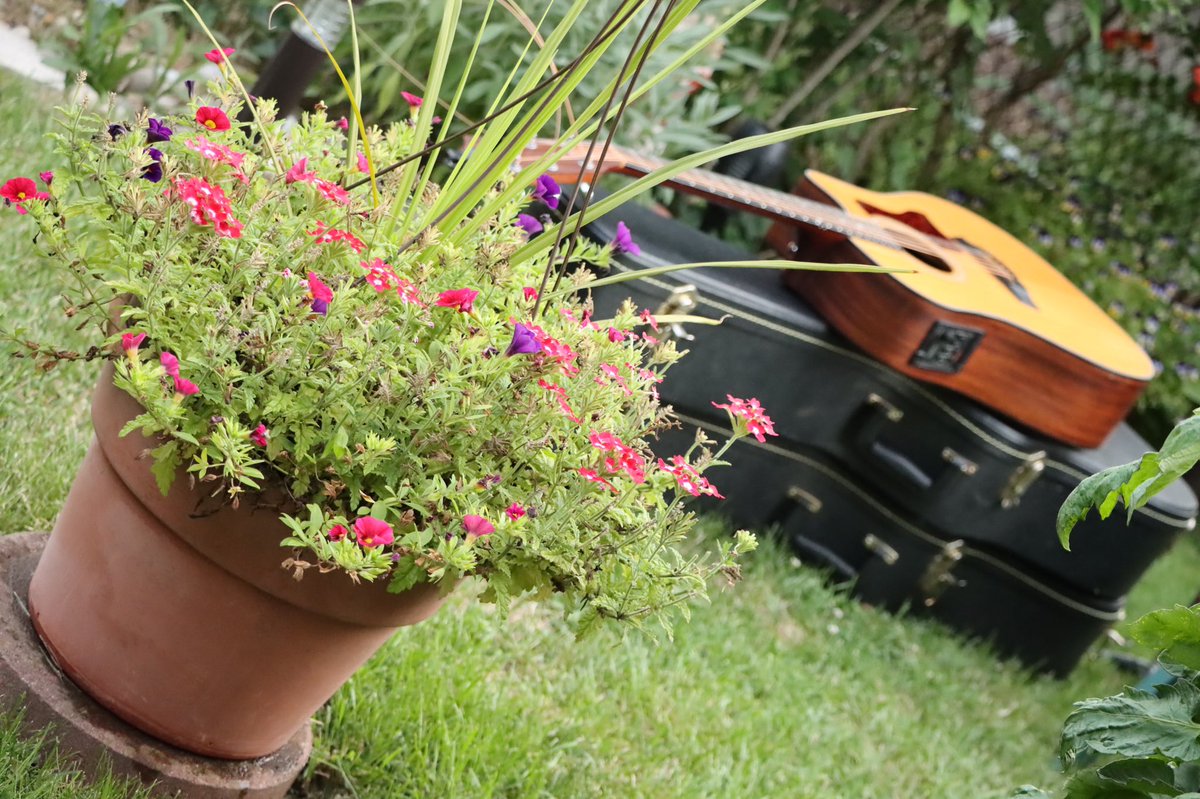 EventPhotoMan's tweet photo. The third in a summer series, Back to the Garden in Glen Cairn #ldnont with a talented singer @petedenomme from @LondonMusicClub #music #backyardevents @LDNMusicOffice @LdnEnt see more at https://t.co/RFKcUnM4mP #hireamusician @DreamArtsLndn @tourism_london @London_Events #guitar https://t.co/xewVjihVQD