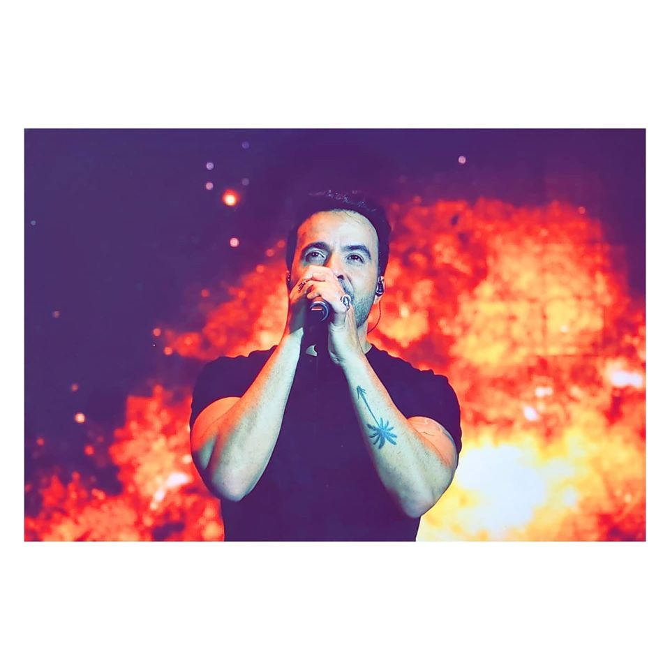 🌴💗 ¡Buena semana! Se termina este mes y empezamos a palpitar el XV aniversario del mejor club de fans. <a href="/Fonsisangels/">Fonsi's Angels Arg</a>  😇🥳

#LuisFonsi #FonsiFans #FonsisAngelsXV