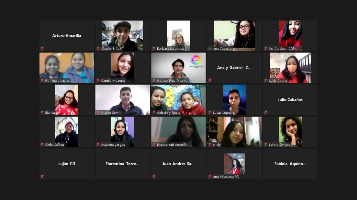 El 25 de julio se realizó la primera plenaria del año de la REDNNA!🇵🇾💪💖