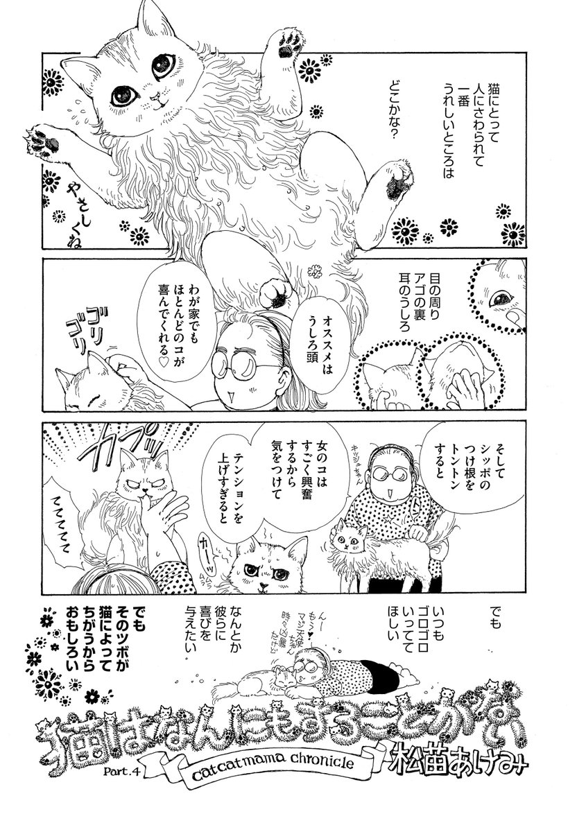 マンガよもんが Auf Twitter 猫はなんにもすることがない 公開中 一軒家の松苗家は猫が9匹 みんなが自由気ままな猫天国 読んでほっこり猫エッセイ 続きはこちらから T Co 2ecdxlqkrb マンガよもんが 漫画 マンガ エッセイ ４コマ 猫