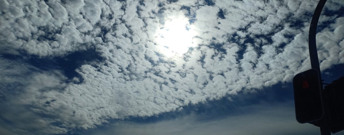 Choeday1's tweet image. Pale sky