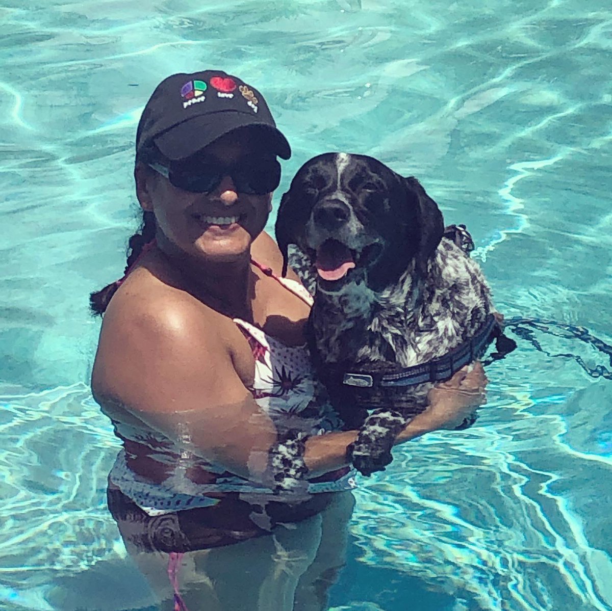 caringfurpets's tweet photo. GREAT weekend! Max’s first swim outing... took a few attempts but seemed quite comfortable. His web feet were amazing 🐾💕🐾🐶 #lovedogs #doglover #lovemydogs #rescuedog #doglife #caringfurpets #allfurpets #doggenuis #thepetexperts #doglove #iSpeakdog #dogtraining https://t.co/EmjkPY4BIW