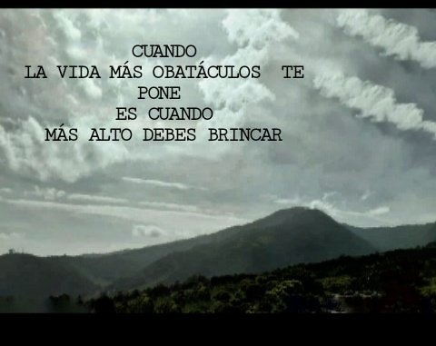 4838Somos's tweet photo. #Inalcansable
#somos4838 https://t.co/W1FL6VytXE