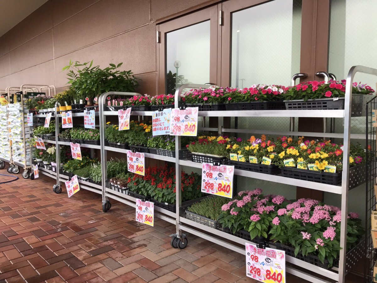 杏林堂薬局 公式 新店舗情報 杏林堂スーパードラッグストア小笠店 本日グランドオープン 菊川市下平川に 小笠店がオープンしました オープンを記念して 全店協賛セール開催中 チラシ対応店のみで実施