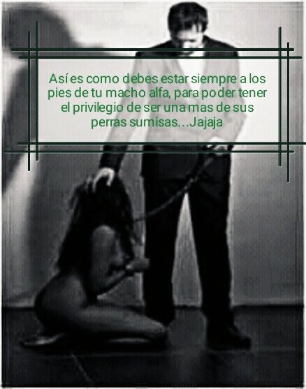 IvnMelendez4's tweet photo. Así es como debe de ser...jaja @putasumisa @travestisumisa @culosumiso https://t.co/3XzqeqQXVm