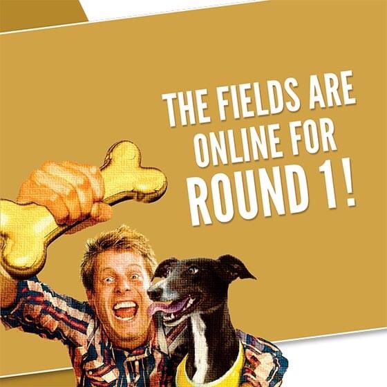 TheDogsSA's tweet photo. The fields for Round 1 of the Golden Bone Greyhound Tipping Competition are live now on the Golden Bone website with 11 races for tipsters to look over.
Visit https://t.co/qlvQISyFzK to make your first selections!
#goldenbone #sagreyhounds #tippingcomp #onlyatthedogs #greyhounds https://t.co/1uNm1GzPiA