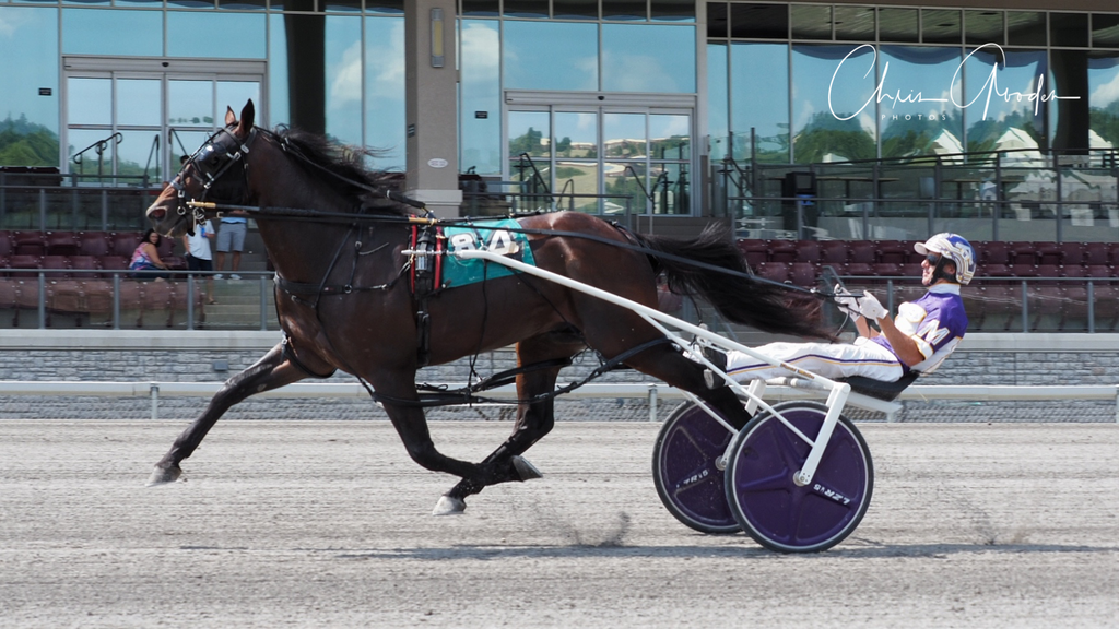 HarnessUpdate's tweet photo. David McDuffee, the lone owner of world champion Papi Rob Hanover, said an MRI has shown that the pacer has suffered a broken coffin bone, will miss the rest of the racing season and is likely headed to stud. More information here: https://t.co/MY974yadHd
(Chris Gooden photo) https://t.co/cgN7f6A2DB