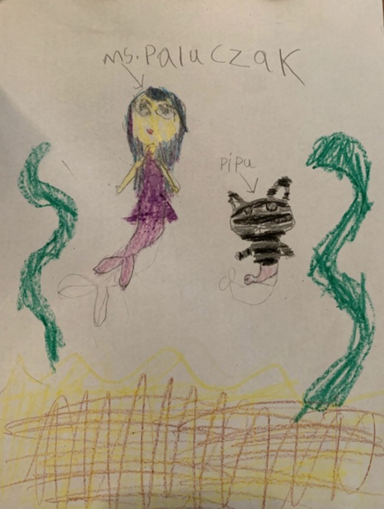 Taylor Paluczak Parisot tweet media