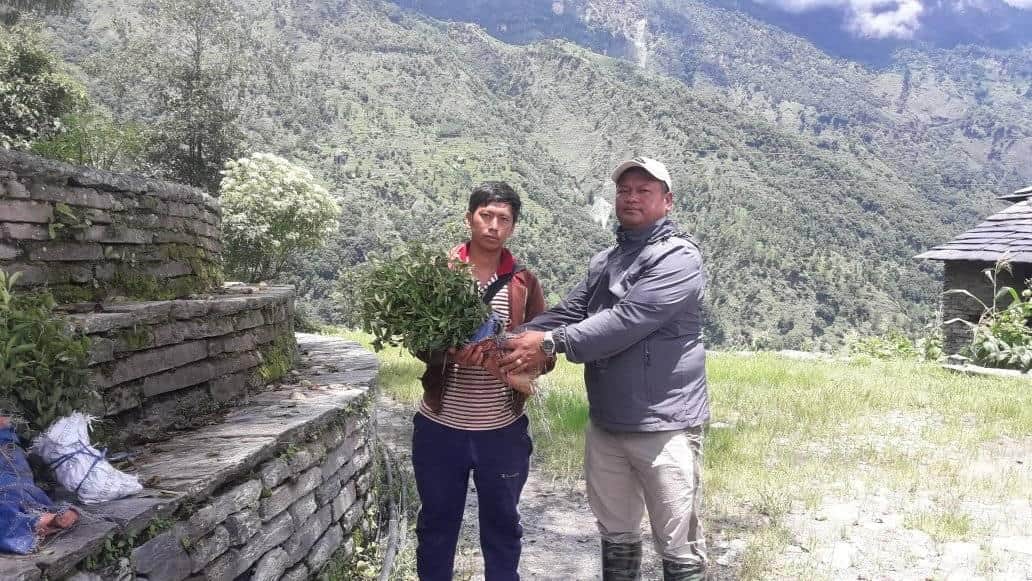 me_sameer0's tweet photo. @NepalRedCross Myagdi District Chapter,Community livelihood promotional project supported by @irishredcross distributed orange plants to farmers at project area.  CLPP conducting training &amp; distributing plants of high value cash crops to farmers. 
#BetterLivelihood https://t.co/z0nUttsD0q